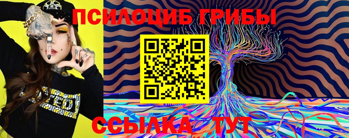 Галлюциногенные грибы Psilocybe  Вход с VPN  Псилоцибиновые грибы мухоморы  Анжеро-Судженск 